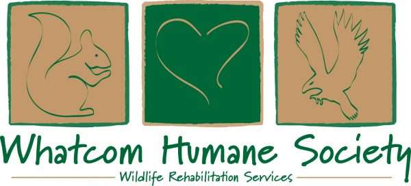 WHS - Wildlife Rehab Services