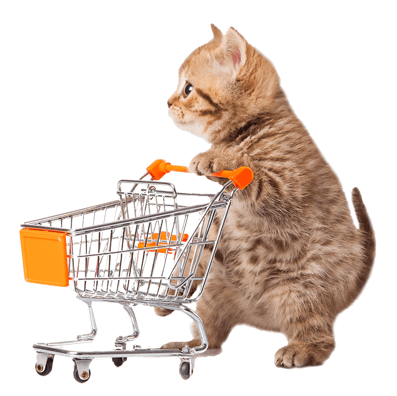 Donated Items We Accept