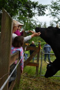 People Interaction with Animals