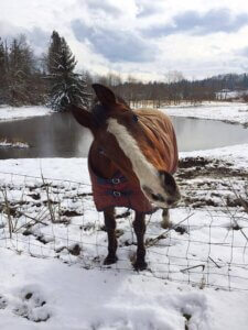 WHS - tonto