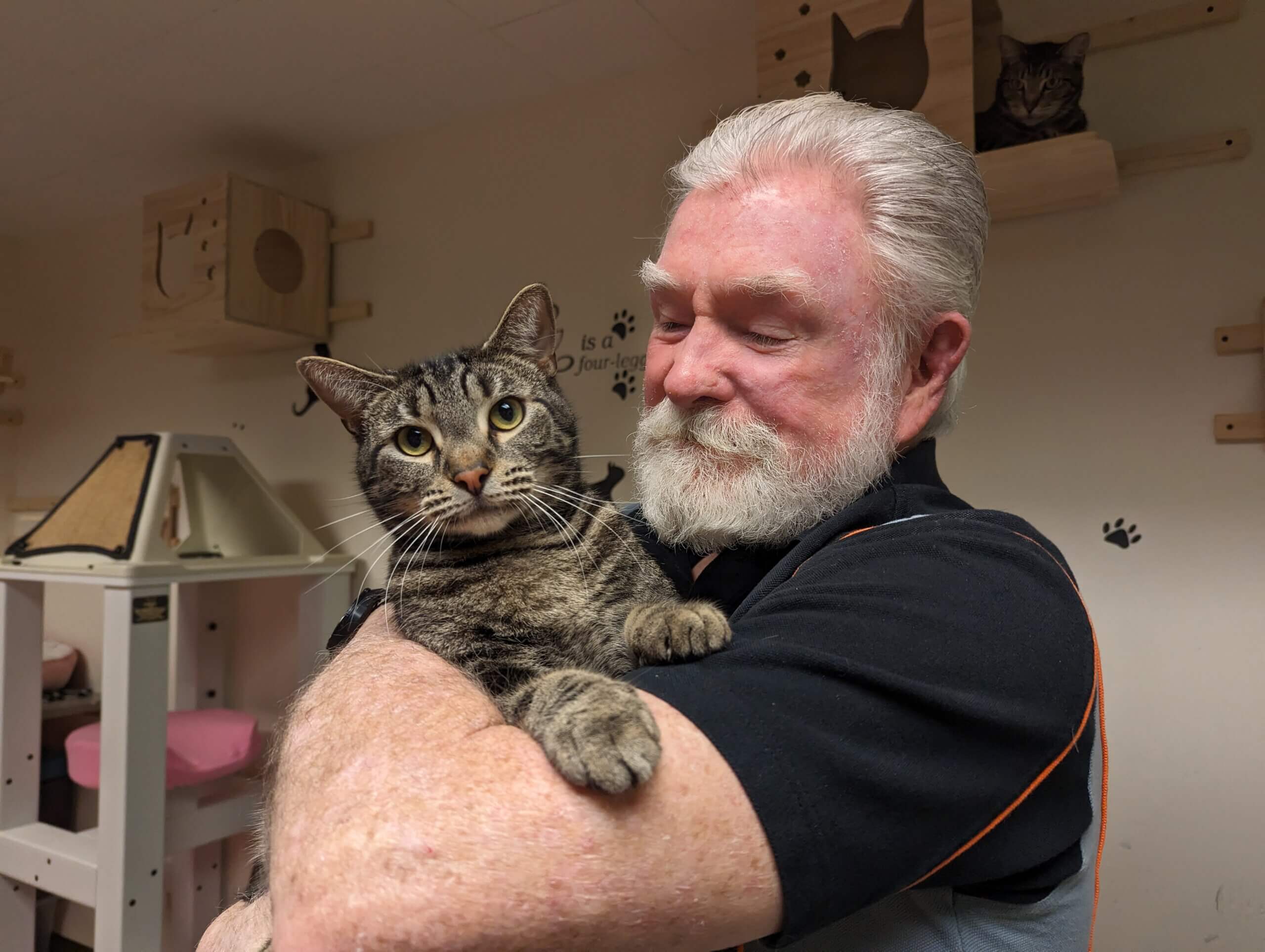 adopting a shelter animal