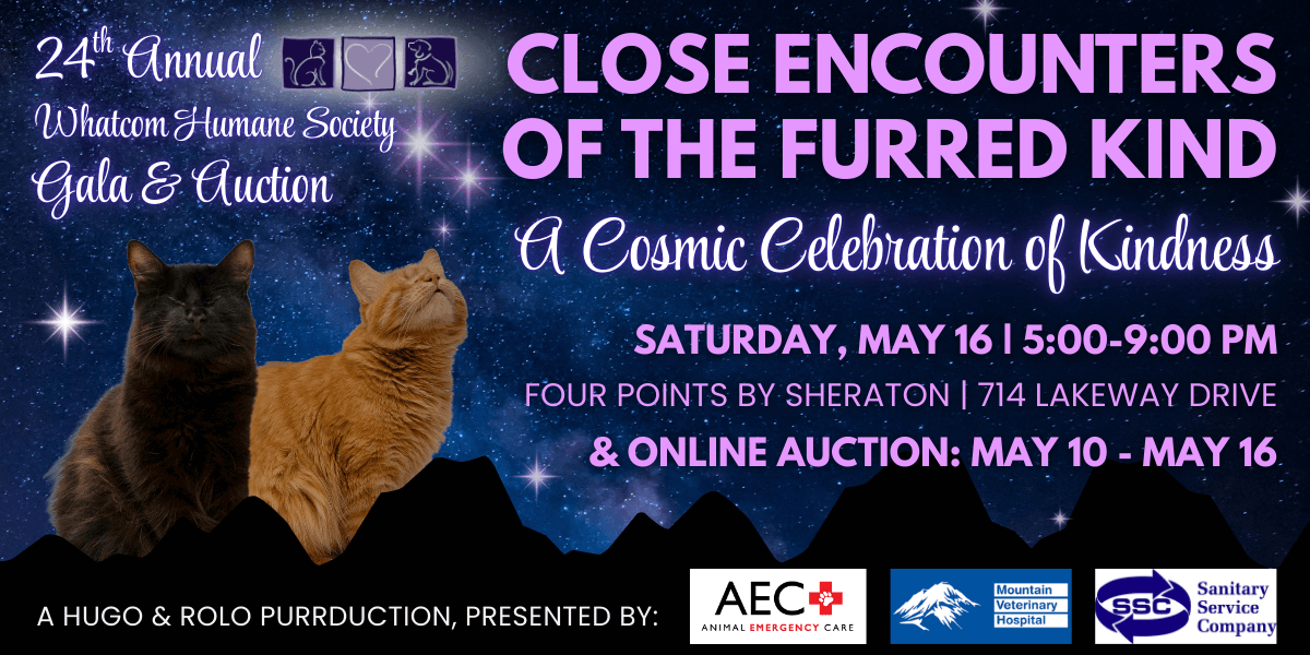 Close Encounters Web Banner (6)