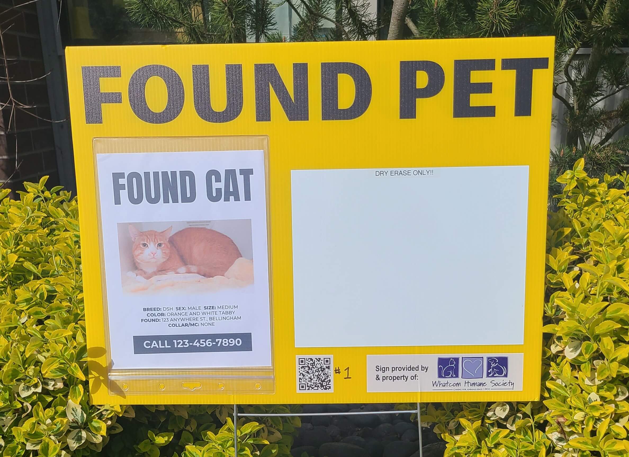 Found Pet Yard Sign (Crop)
