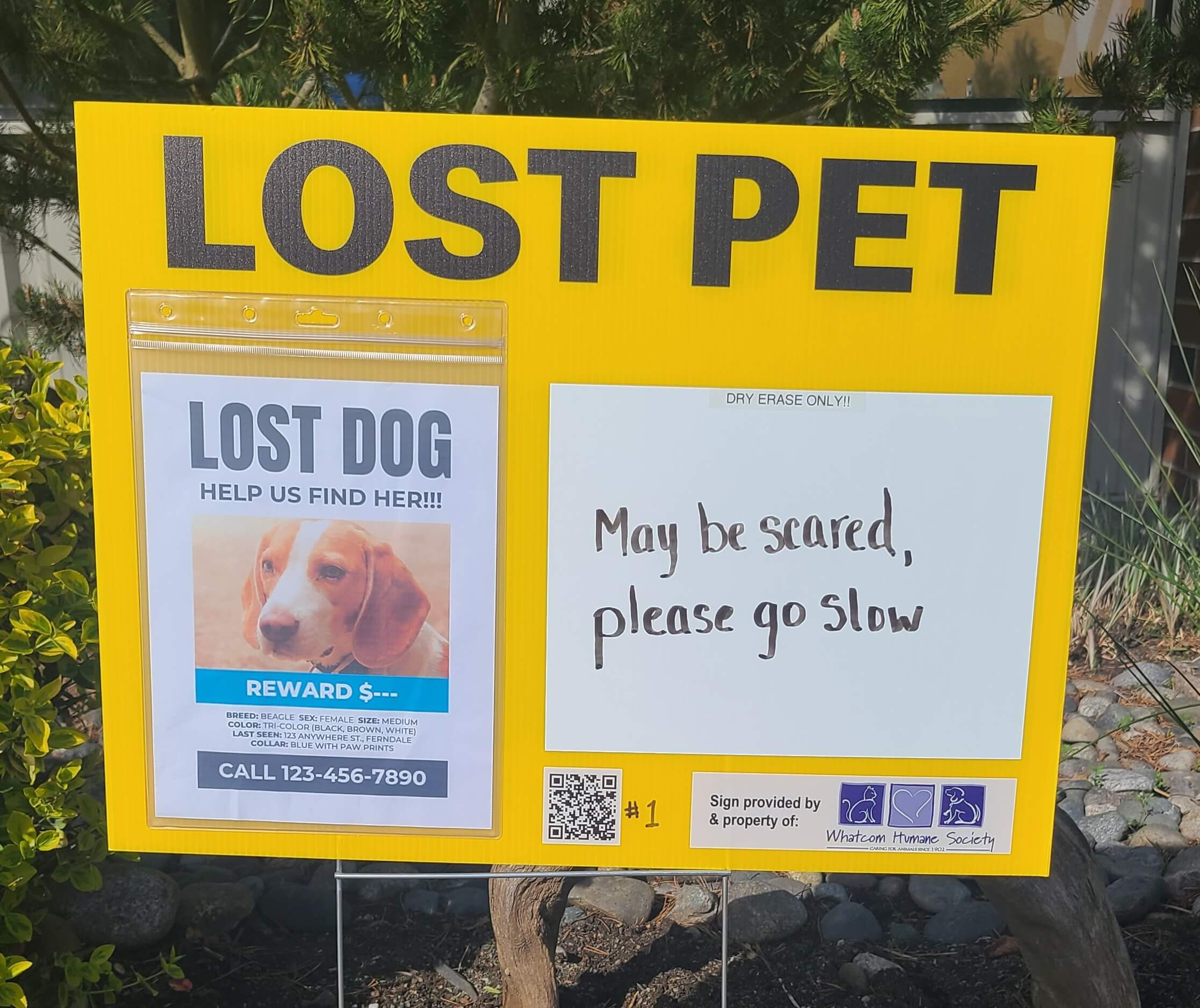 Lost Pet Yard Sign (Crop)