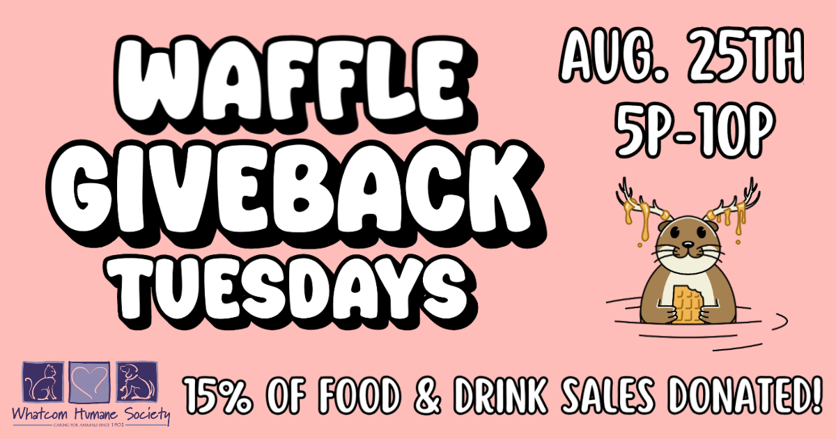 Waffle Tuesday (1)
